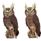 Illustration for article titled Noble Noctowl! Pokemon One a Day, Series 2!
